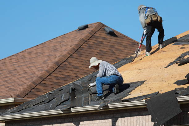 Dania Beach, FL Roofing services Company